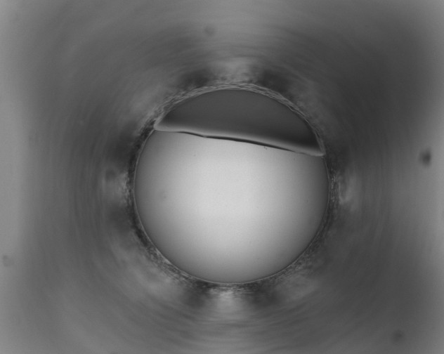 X0000111460564200907201115