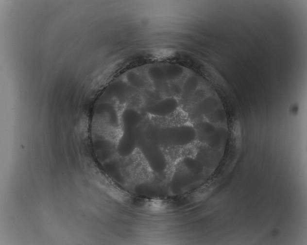 X0000111460565200907201115