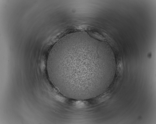 X0000111460566200907201116