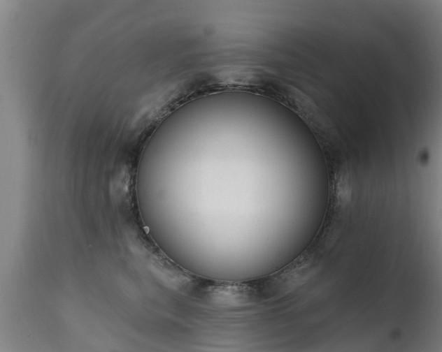 X0000111460567200907201116