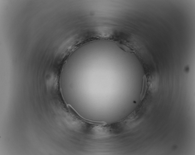 X0000111460568200907201116