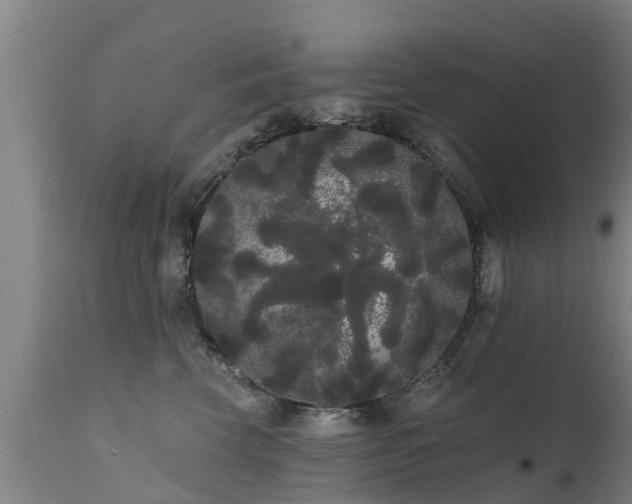 X0000111460569200907201116