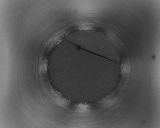 X0000111460570200907201116