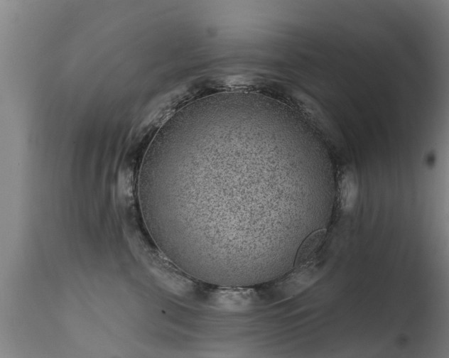 X0000111460571200907201116