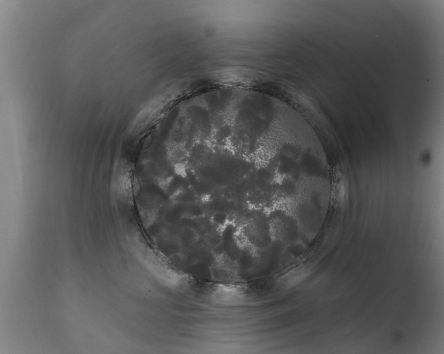 X0000111460573200907201116