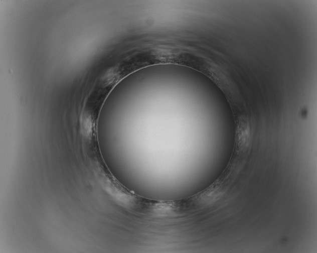 X0000111460574200907201116