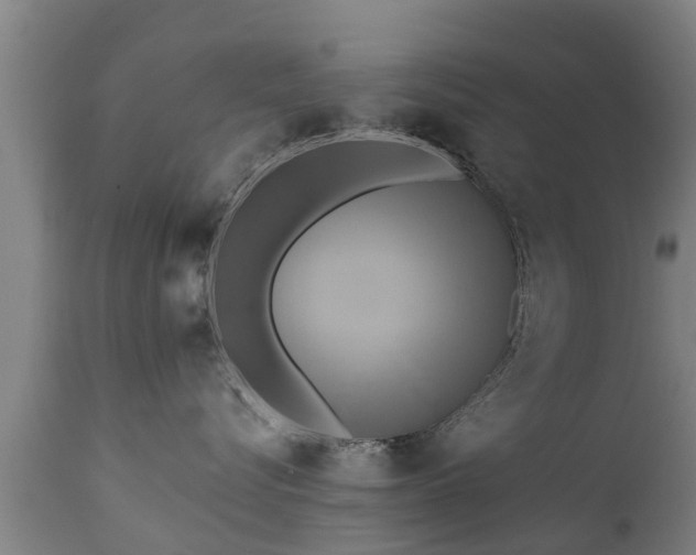 X0000111460576200907201116