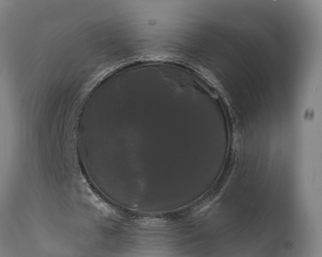 X0000111460577200907201115