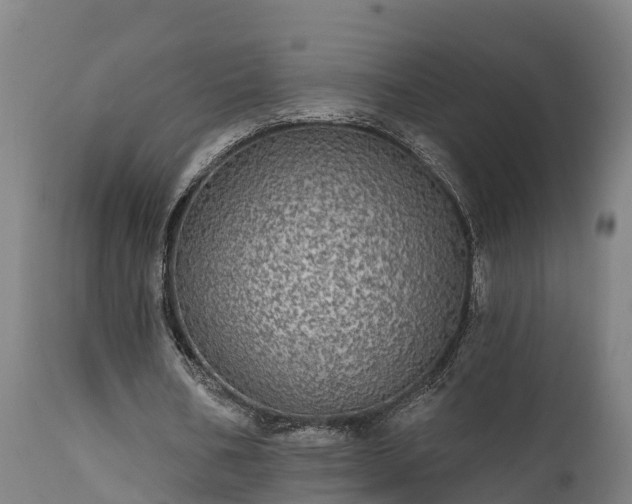 X0000111460578200907201115