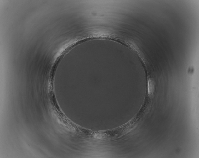 X0000111460579200907201115