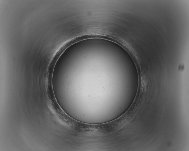 X0000111460580200907201115