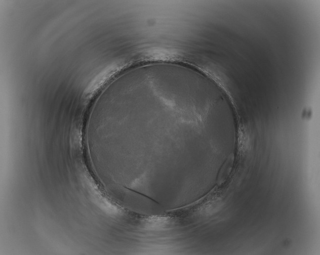 X0000111460581200907201115