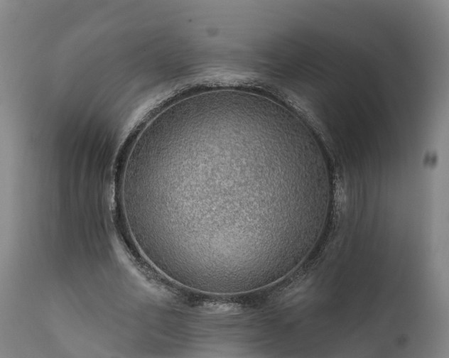 X0000111460582200907201115