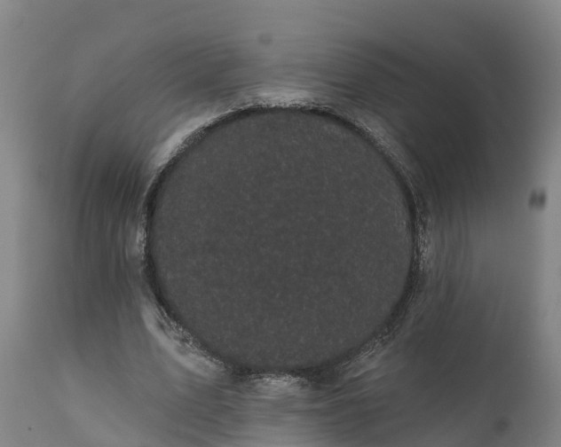 X0000111460583200907201115