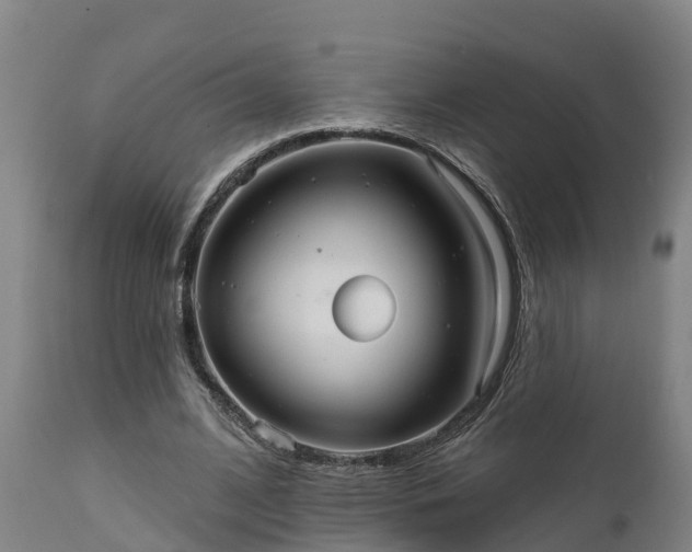 X0000111460584200907201115