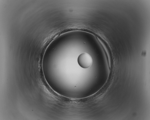 X0000111460585200907201115