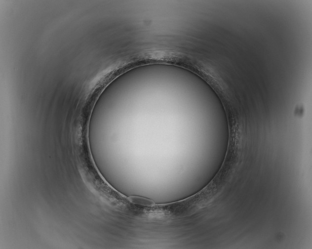 X0000111460587200907201115