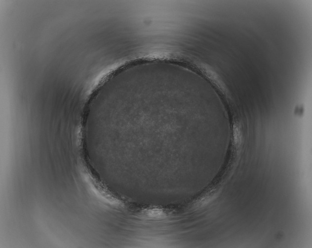 X0000111460588200907201115