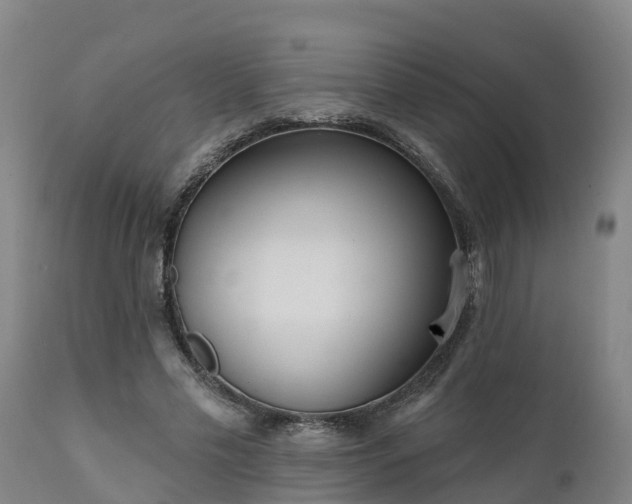 X0000111460589200907201115