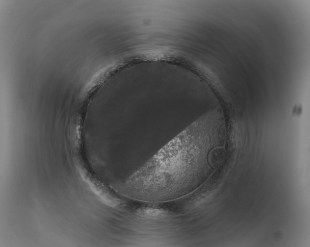 X0000111460590200907201115