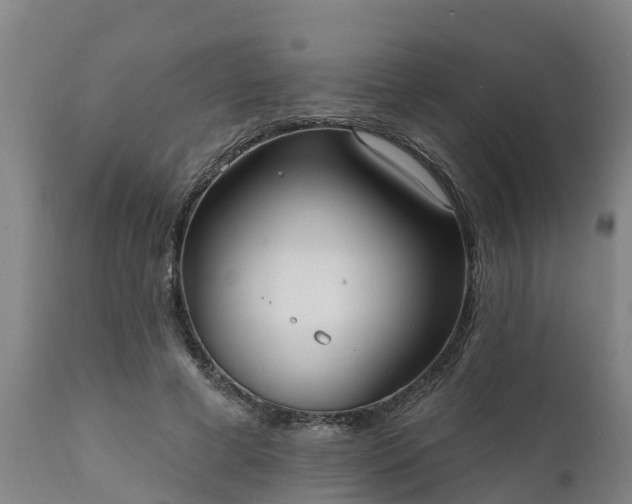 X0000111460593200907201115