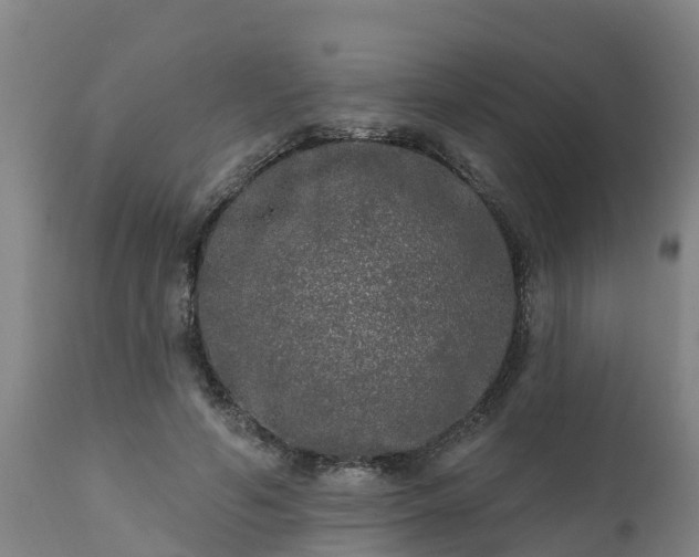 X0000111460594200907201115