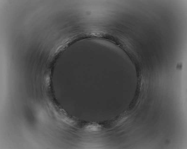 X0000111460595200907201115