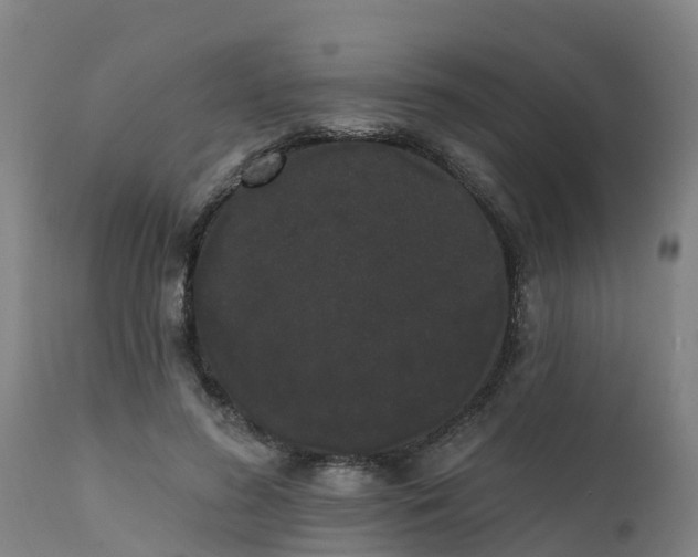 X0000111460596200907201115