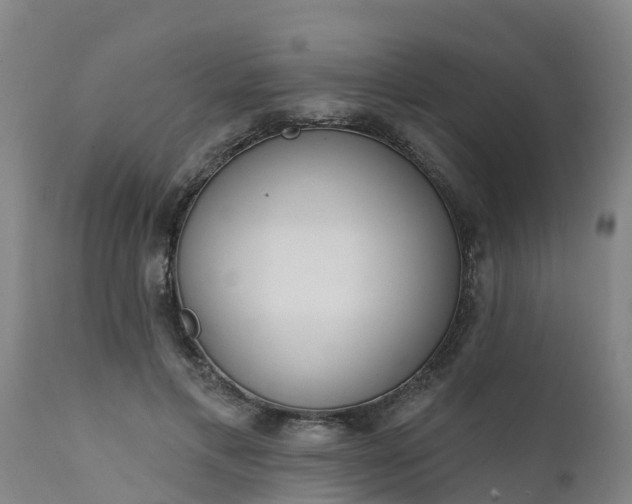 X0000111460597200907201115