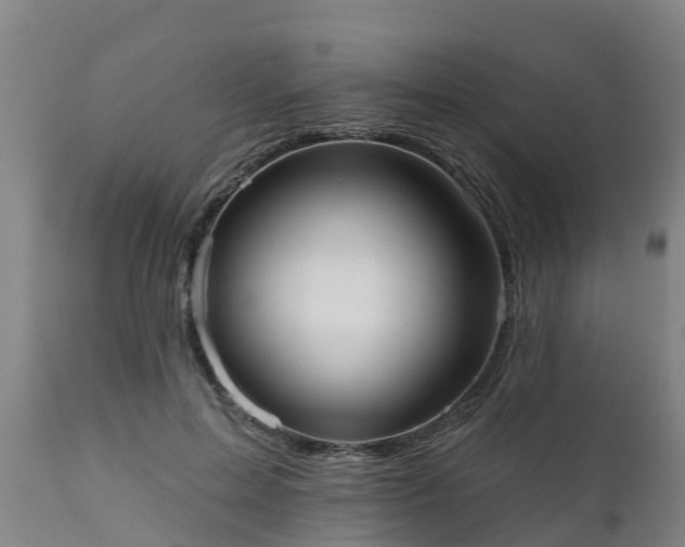 X0000111460599200907201115