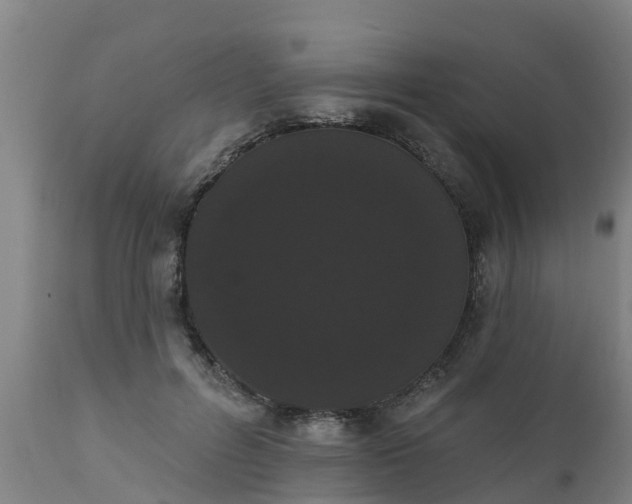 X0000111460600200907201115