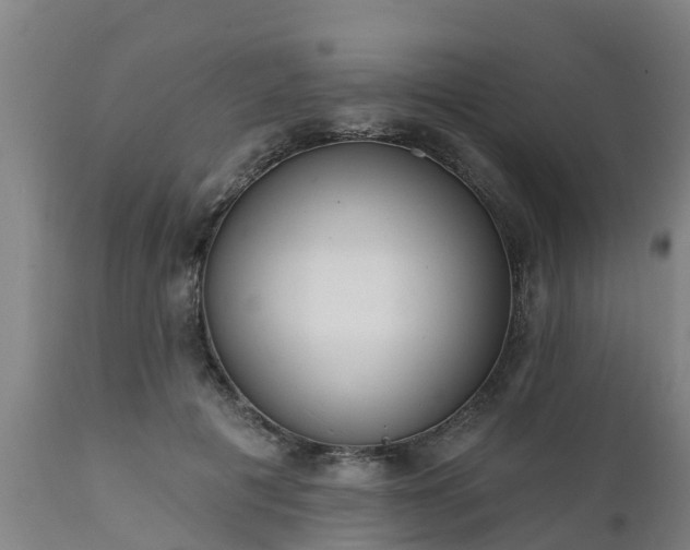 X0000111460601200907201115