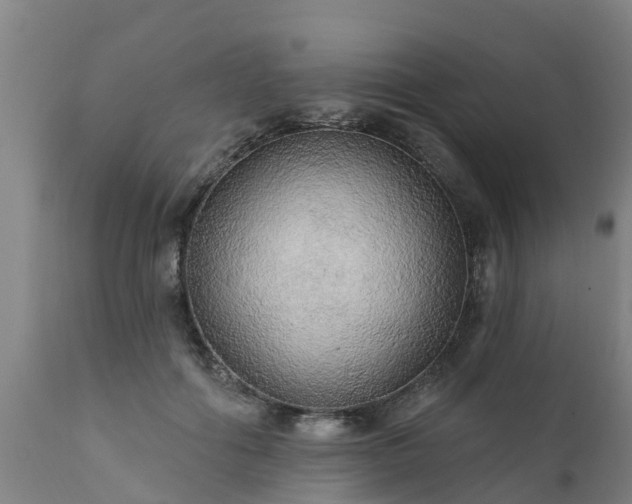 X0000111460602200907201115