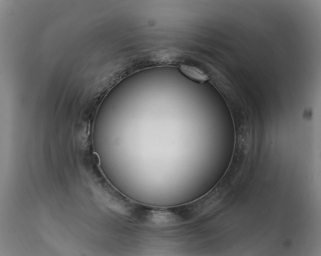 X0000111460605200907201115