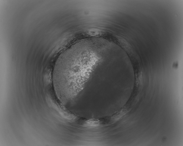 X0000111460606200907201115