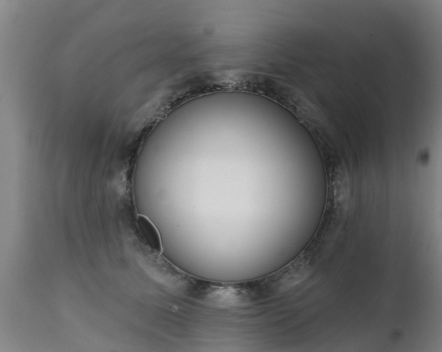 X0000111460611200907201115