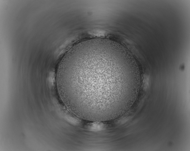 X0000111460612200907201115