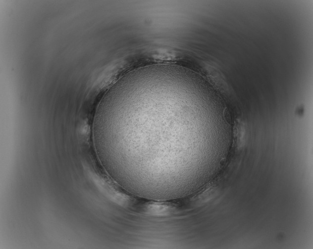 X0000111460614200907201114