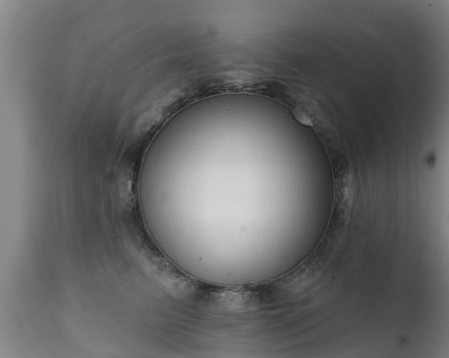 X0000111460615200907201114