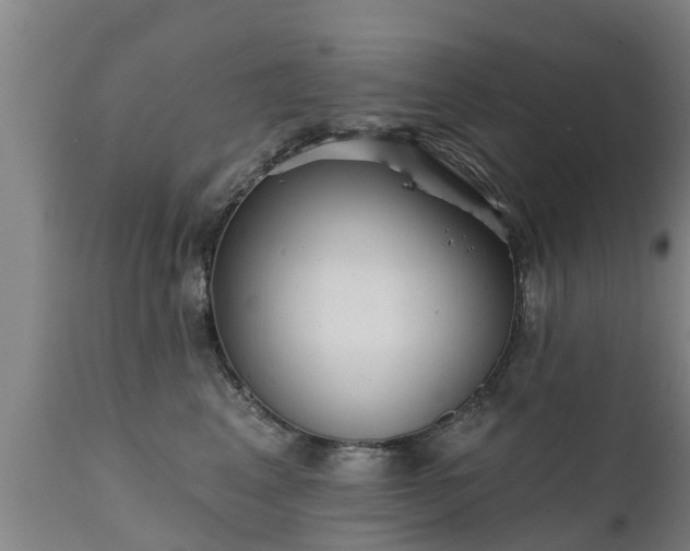 X0000111460617200907201114