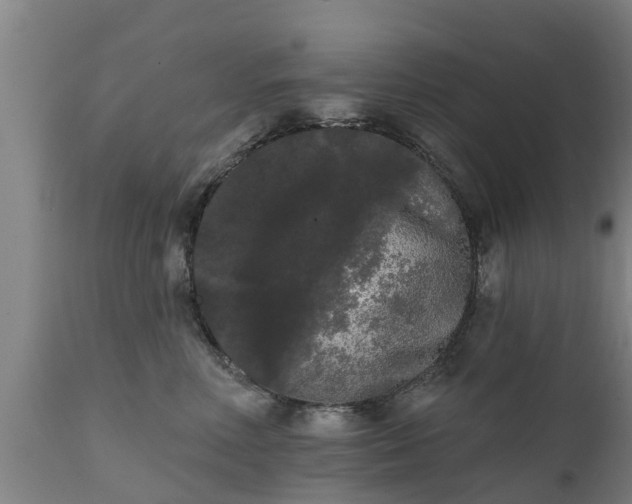 X0000111460618200907201114