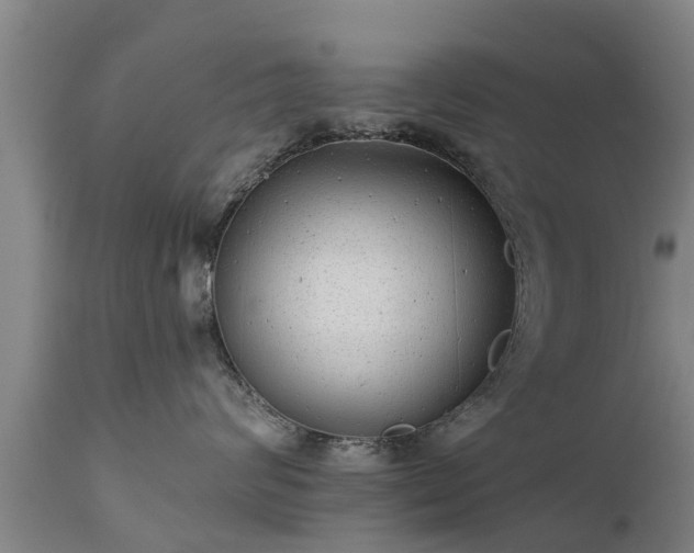 X0000111460624200907201114