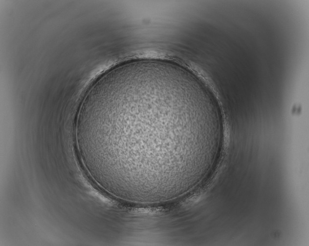 X0000111460625200907201114