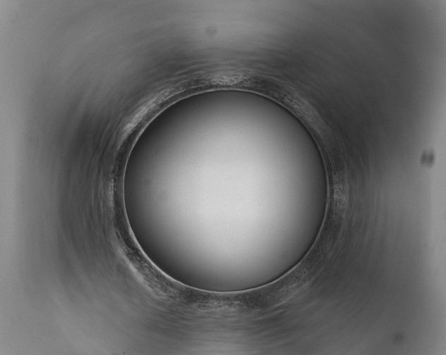 X0000111460626200907201114