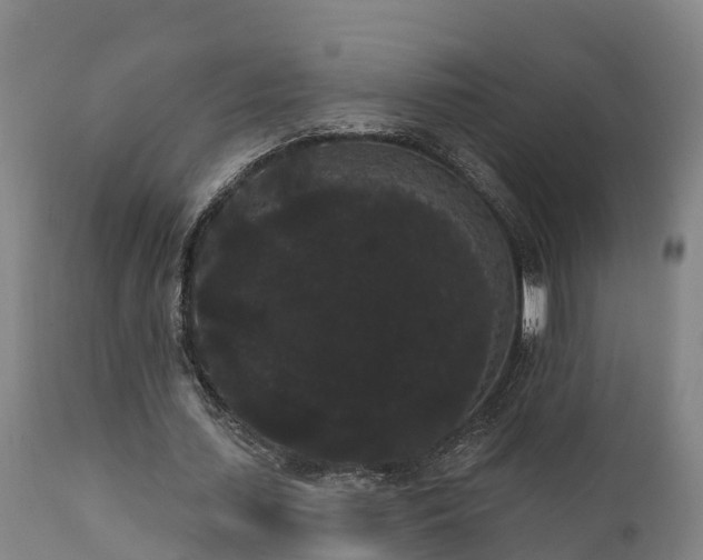 X0000111460627200907201114