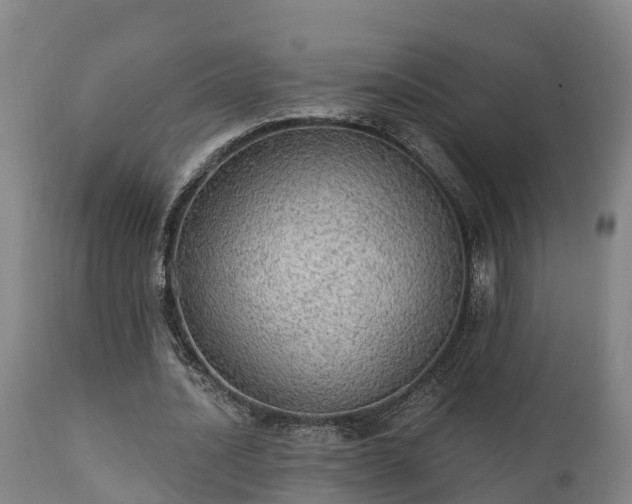 X0000111460628200907201114