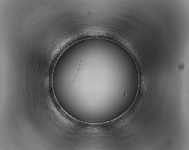 X0000111460629200907201114