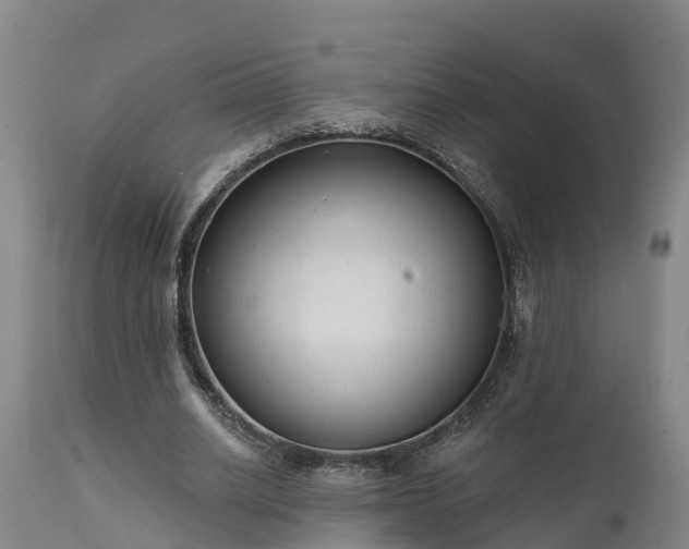 X0000111460630200907201114