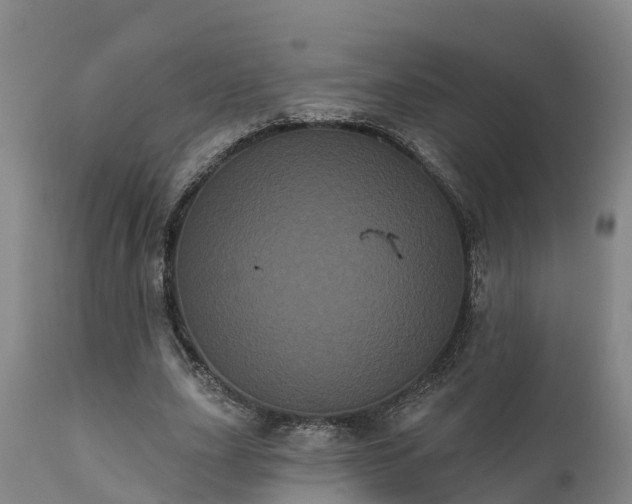 X0000111460631200907201114