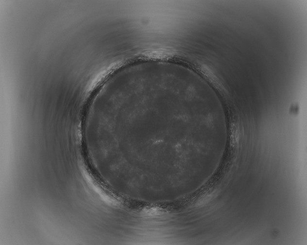 X0000111460634200907201114